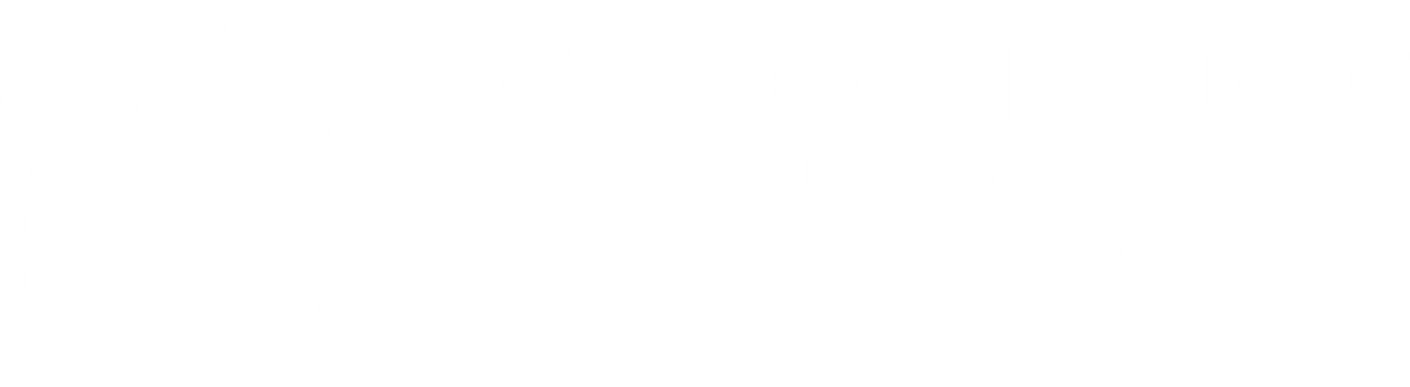 Academia do Autismo
